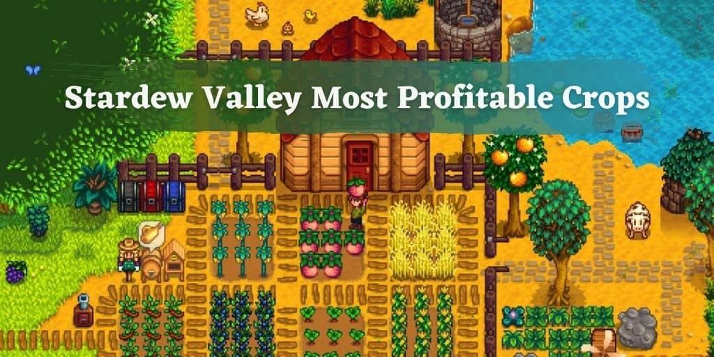 Stardew Valley Most Profitable Crops