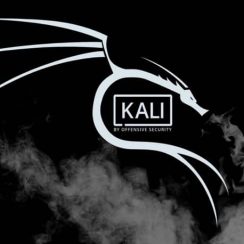 Commandes Linux Kali pour Hacker |  Facile pour les débutants