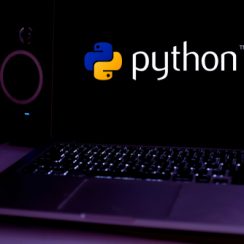 Développez et rationalisez votre entreprise à l'aide de Python : savoir-faire
