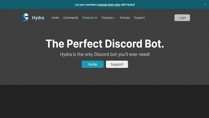 meilleurs robots de musique pour discord hydra bot