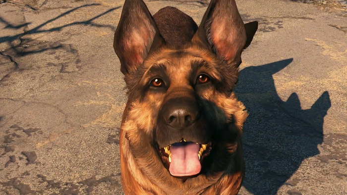 Fallout 4 Viande de chien